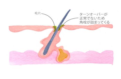 プレゼンテーション1.jpg